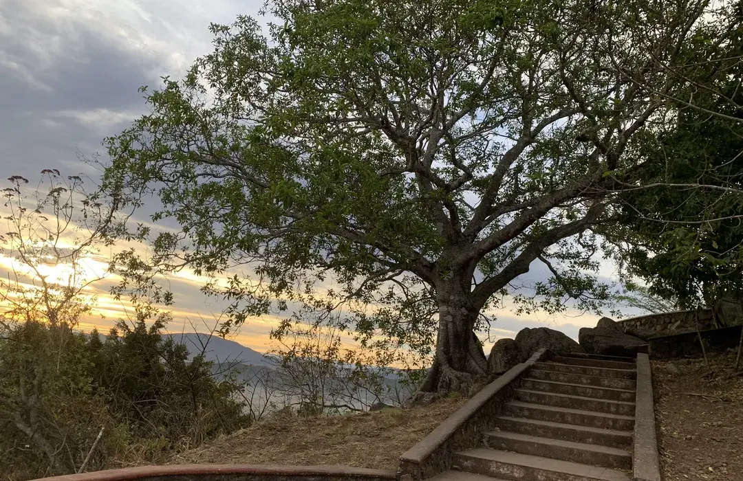 Foto de la experiencia Cerro de la Cruz: el mirador favorito de los tepicenses