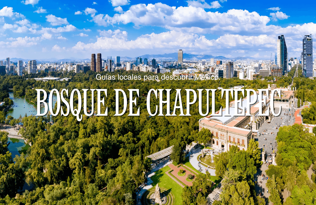 Bosque de Chapultepec: el lugar donde la Ciudad de México respira