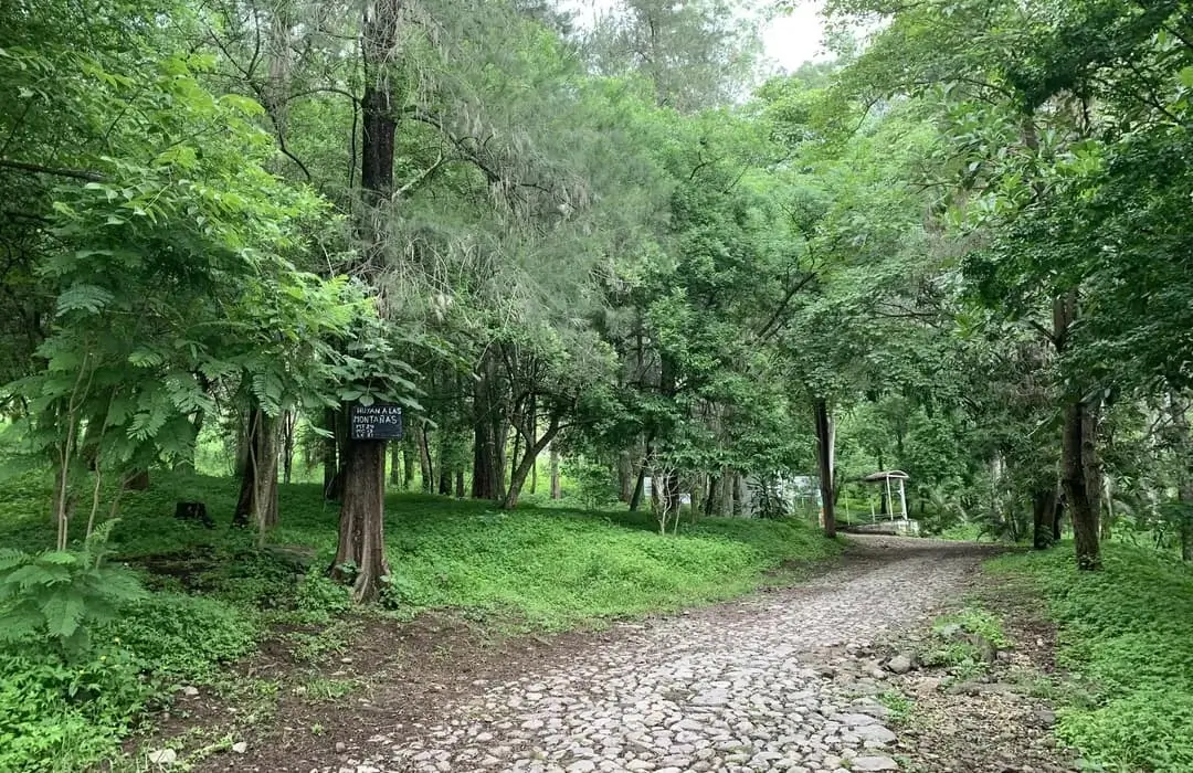 Las Mejores Rutas para Correr, Andar en Bici y Entrenar al Aire Libre en Tepic