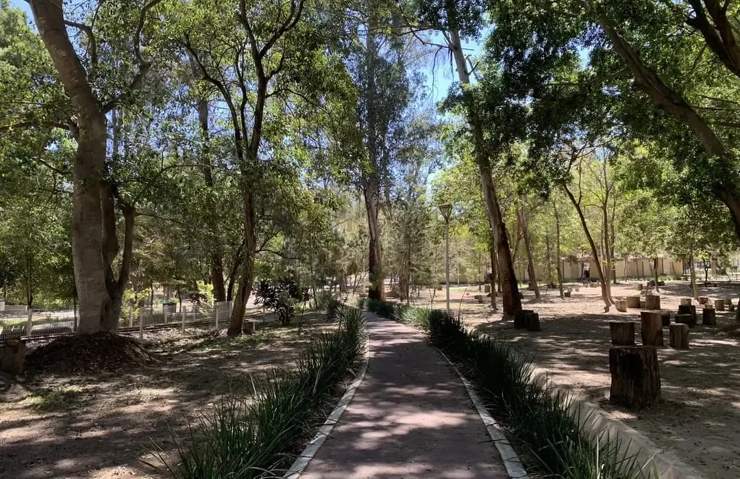 La Verdad Sobre los Lugares Más Populares de Tepic: ¿Valen la Pena o Son una Trampa para Turistas?