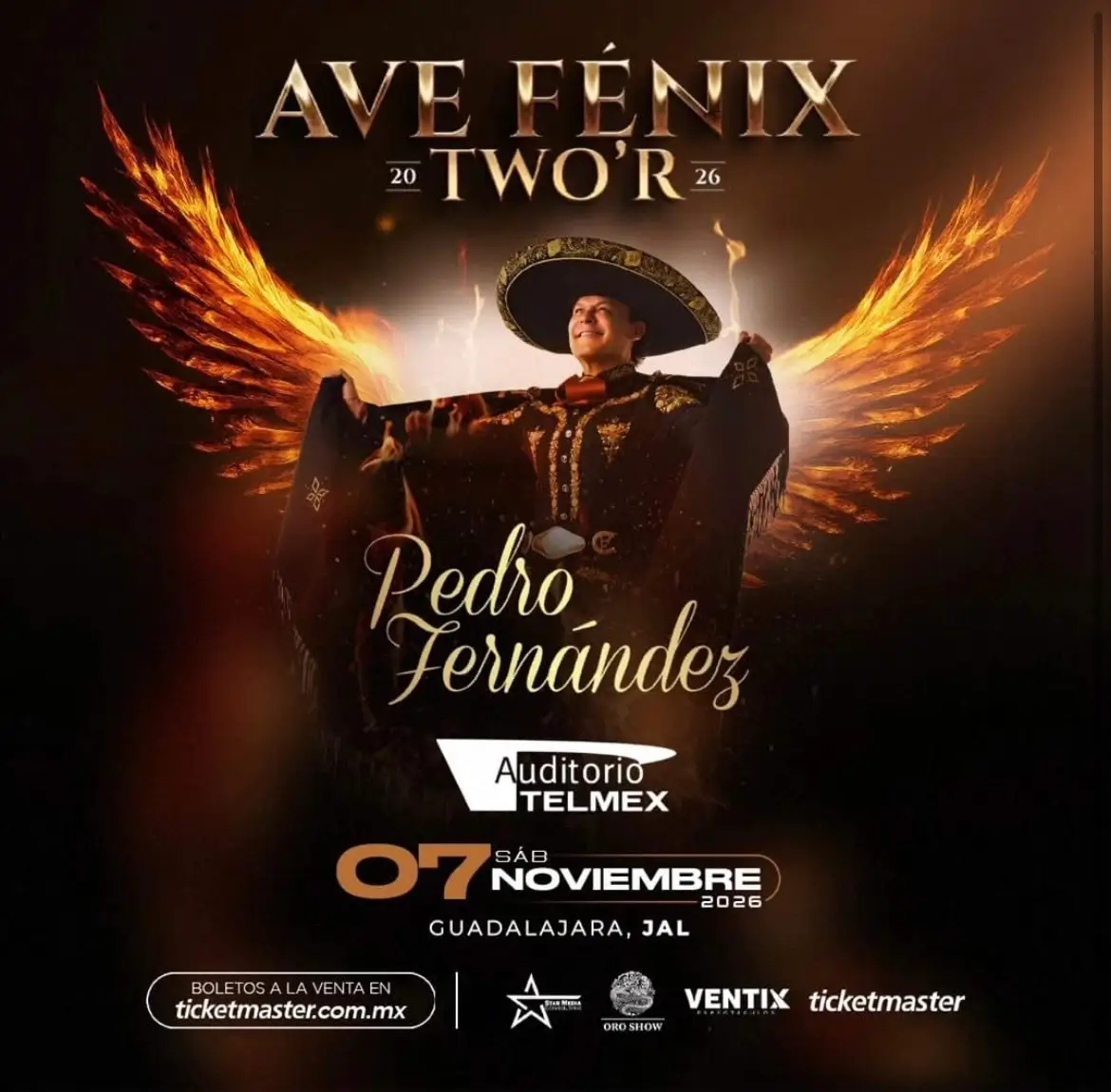 Pedro Fernández En Guadalajara 